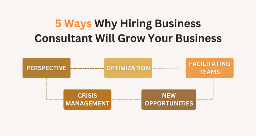 5 Ways Why Hiring Business Consultant Will Grow Your Business